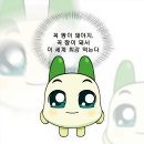 윤성은 보아라 🍉 이미지