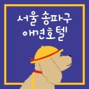 아이뽀 애견 유치원 호텔 이미지