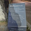 cu방촌점 | 대구 방촌동 숨은 벚꽃 터널 야간 명소 추천 해안동 벚꽃길