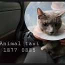 CU 관악중앙점 이미지