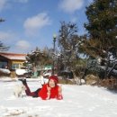 영산나루 Daum카페