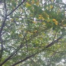 봉제산책쉼터 이미지