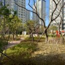 교방동010 이미지