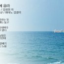 해운대에 올라 이미지