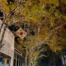 역삼-1703 이미지