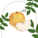 대림3농장 | 🍐경기도에서 배따는 즐거움! 대림배농원 체험기🍏