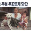 돈지백구마을 이미지