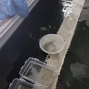 모아크리닝 이미지