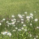 그늘과 빛의 기억  이미지