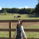 아름목장 | 뚜벅이가 제주를 여행하는 방법 - 성이시돌목장, 금오름, 잔물결, 협재해수욕장