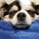 놀고 먹고 자개 이미지