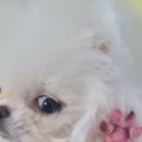 한일동물병원 이미지