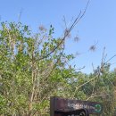 마래산 둘레길 이미지