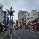 바다파파 | 일본 오키나와 여행 코스 국제거리 오키나와 현지인 맛집 온야사이 토루네코파파