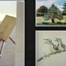 박정희로-18 이미지