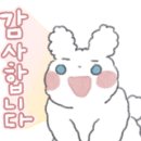 우정빨래방 이미지