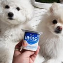 협성가축약품 이미지