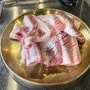 제주 생갈비 티스토리