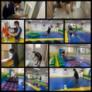 용인대정도태권도체육관