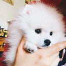 가람목장 이미지