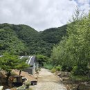 정선아기동물농장 이미지