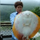 고흥한우직판장 이미지