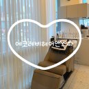 태강빌딩 | [공지] [강릉 에코레비헤어앤스파]프리미엄 토탈 뷰티 살롱 강릉유천미용실 강릉헤드스파 아로마테라피...
