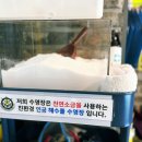 대한키즈 스윔스쿨 동대문 캠퍼스 이미지