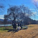 2023 강원특별자치도 양봉업 법정교육 | 애견여행지추천 - 반려생활 올해의 여행지! 가평 자라섬, 양양 멍비치, 부산 요트홀릭, 대전반려동물...