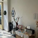 채남칼국수앞 이미지