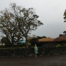 추사김정희유배지 이미지