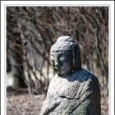 희원 이미지