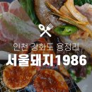 서울돼지1986 이미지