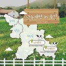 청계 한우 농장 이미지