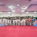 용인대블랙벨트센터 이미지