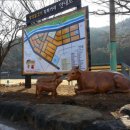 광양불고기 특화거리 더 한국타임즈