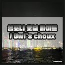 OWL's(아울스) | 심포니 오브 라이트 보고 올빼미슈 Owl's choux 먹은 홍콩여행 첫날밤