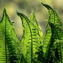 국제법률 행정사사무소 이미지