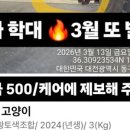 킹스사우나불가마