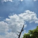 이마트24서동삼거리점 | 지리산 노고단, 반야봉 등산후기