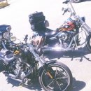 안면도민박 이미지