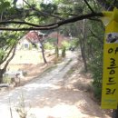 우체국~택시부 이미지