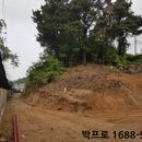 신대동카 네이버블로그
