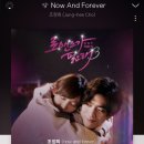 Now And Forever-조정희 이미지