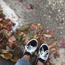 경포어울림펜션 이미지