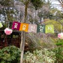 그레잇태안