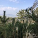 바닷가농원 이미지