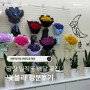 싱싱한아침 | 광명꽃배달 추천 일직동 '꽃블리'에서 24시간 언제든 풍성하고 싱싱한 꽃 화분 구매 후기