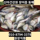 동해건강원 - 음성군 장감로132번길 7 | 동해건강원