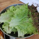 탑들식당 이미지